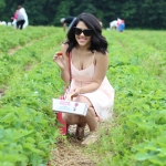 Strawberry Fields